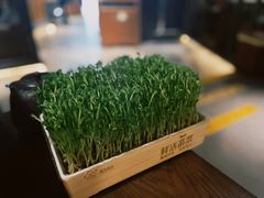 活豆苗-湊湊火锅·茶憩(上海合生汇店)