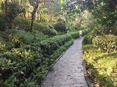 -腾冲洞山温泉村