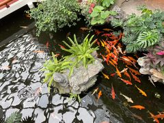 -白天鹅宾馆-宏图府餐厅