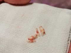 -柏萃动物医院·骨科·牙科