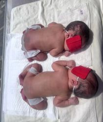 -巍阁月子中心(国贸店)