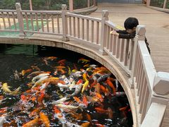 -南宫五洲植物乐园