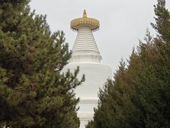 -凉州白塔寺景区