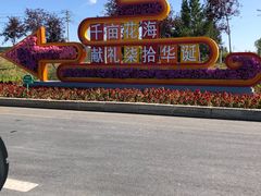 -莲花山花海