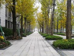 -两江幸福广场