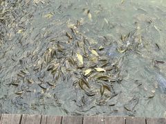-宁波杭州湾国家湿地公园