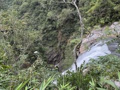 -海南热带雨林国家公园吊罗山景区