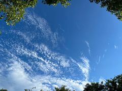 -映月湖中央公园