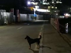 -海湾海鲜餐厅