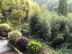 -莫干山风景区