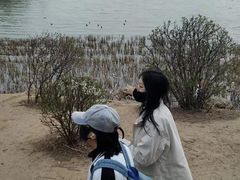 -丁香湖公园