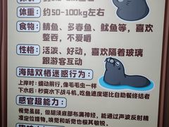 -大连圣亚海洋世界