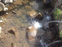 -藏龙百瀑风景区