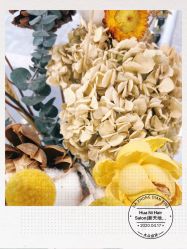 -FUTURE HN男士发型风格设计