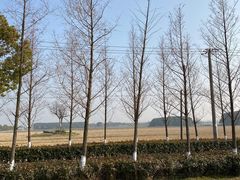 -嘉北郊野公园