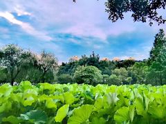 -沐仙湖湿地公园