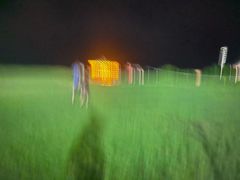 -秦皇岛阿尔卡迪亚滨海度假酒店