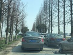 -小鱼草莓采摘园农家乐·小鱼餐厅