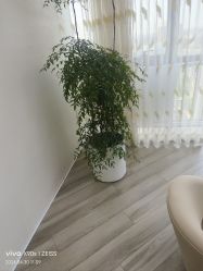-HEYAN荷妍专业脱毛连锁机构