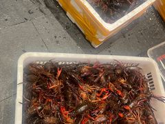 -王红军龙虾(新民路店)