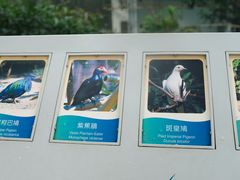 -九龙公园