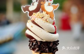 Squirrel Chocolate Cone