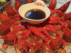 -红盔甲·小龙虾(天钥桥店)