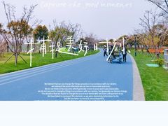 -贡湖湾湿地公园