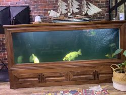 -青木造型HAIR·あおき髪を刈る潮人店