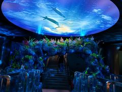 -陕西自然博物馆