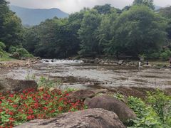 -广州市石门国家森林公园