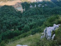 -长虫山生态公园风景林