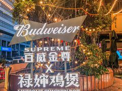 -禄婶鸡煲·打边炉