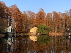 -上海共青森林公园