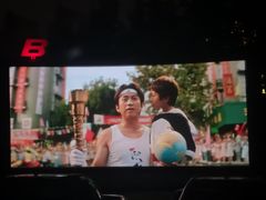 -枫花园汽车电影院(朝阳公园店)