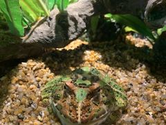-暹罗海洋世界