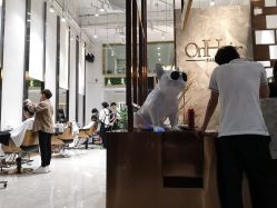 -OnHair Salon