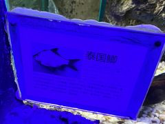 -无锡海洋馆