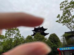 -武汉园博园(武汉自然博物馆)