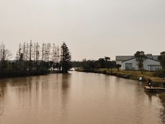 -上海长兴岛郊野公园