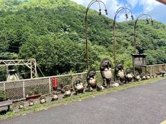 -岚山嵯峨野观光小火车