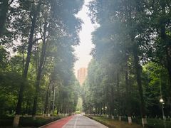 -龙头寺公园