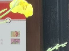 -丰圆轩粤式茶楼 . 点心粤菜(夏茅店)