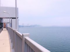 -星海湾跨海大桥
