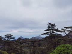 -黄山风景区