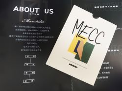 -MECCI婚礼摄影跟拍(红东方广场店)