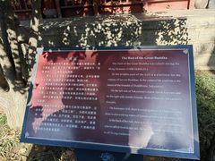 -洛阳白马寺