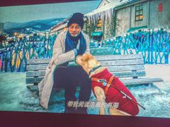 -天幕新彩云国际影城(激光巨幕店)