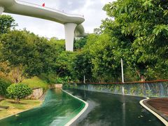 -飞凤山奥体公园