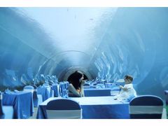 -海棠湾洲际-涛·海底餐厅·美人鱼·自助餐·海底隧道